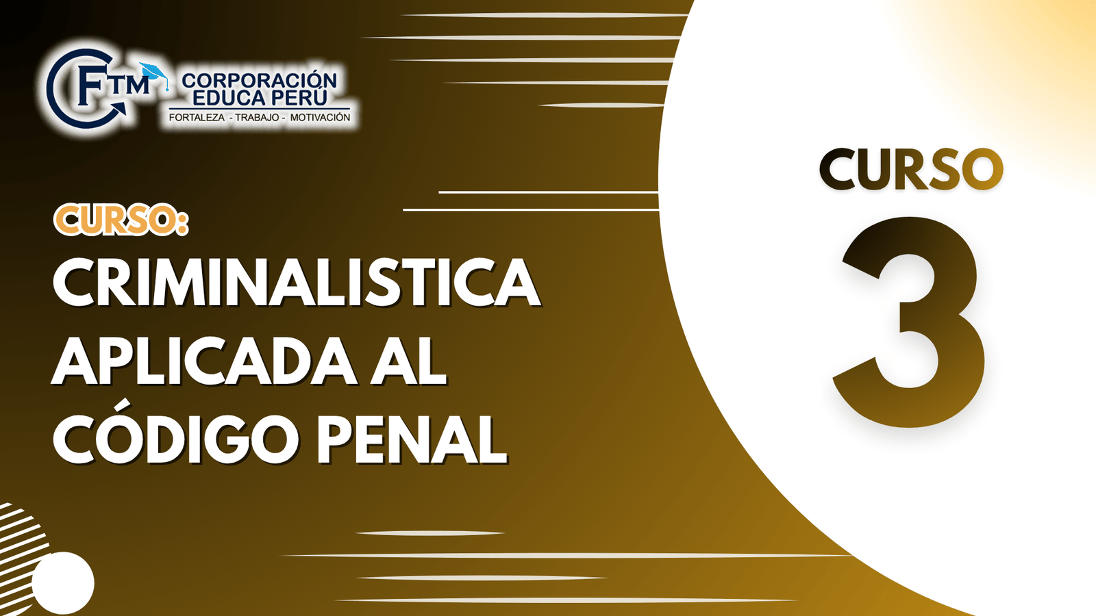 CURSO 03: CRIMINALISTICA APLICADA AL CÓDIGO PENAL (S/C)