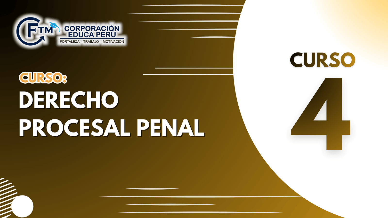 CURSO 04: DERECHO PROCESAL PENAL (S/C)