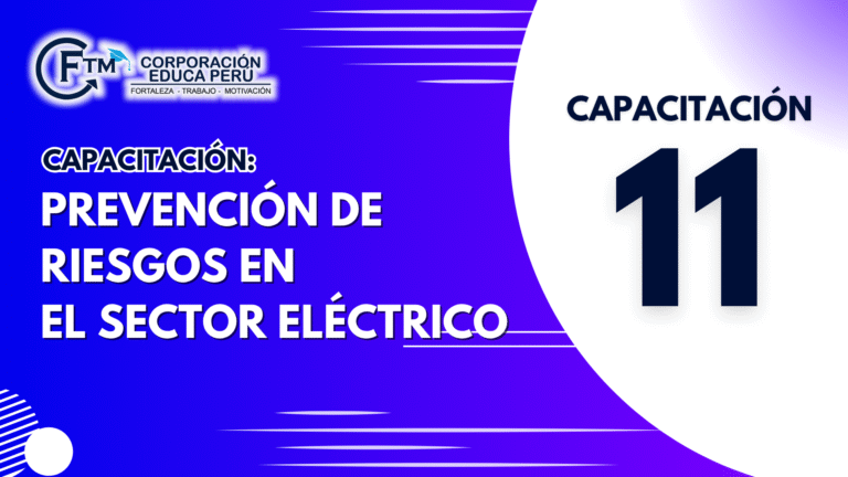 CAP 11: PREVENCIÓN DE RIESGOS EN EL SECTOR ELÉCTRICO